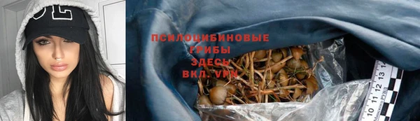 Альфа ПВП Белокуриха