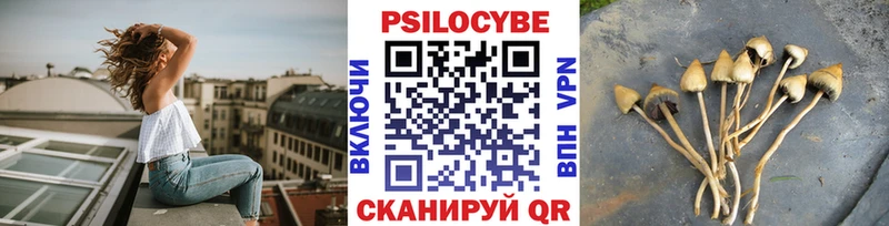 Галлюциногенные грибы MAGIC MUSHROOMS  Купить закладки  Свободный 